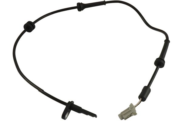BAS-6513