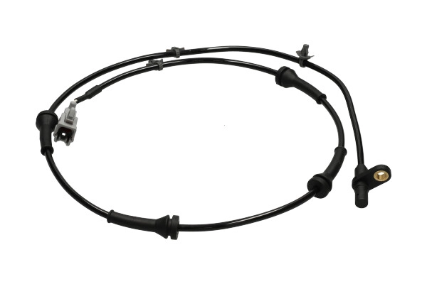 BAS-6613