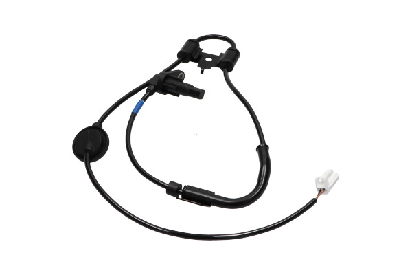 BAS-3121