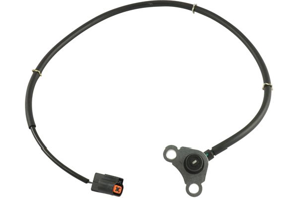 BAS-5553
