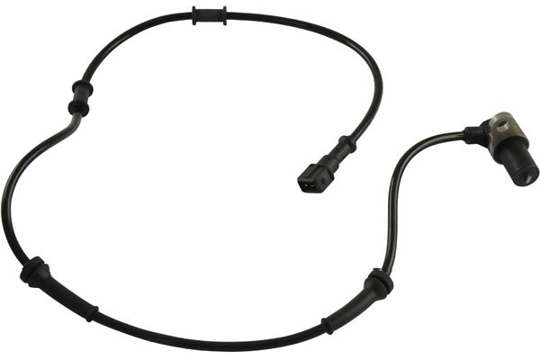 BAS-5555
