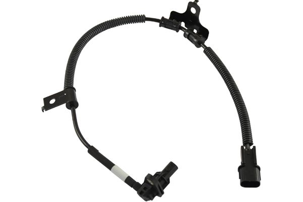 BAS-3055