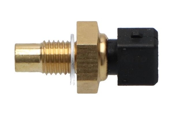 ECT-1006