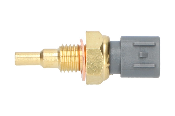 ECT-4509