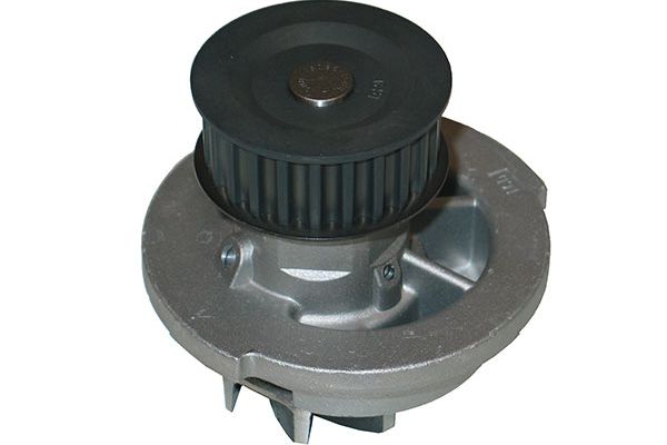 DW-1008