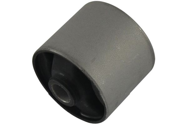 SCR-5569