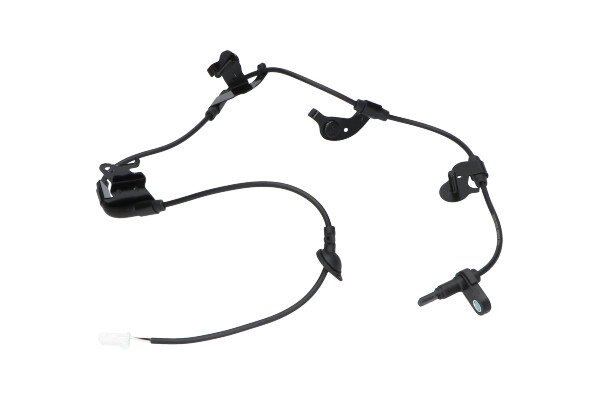 BAS-9204