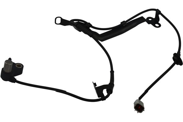 BAS-4501