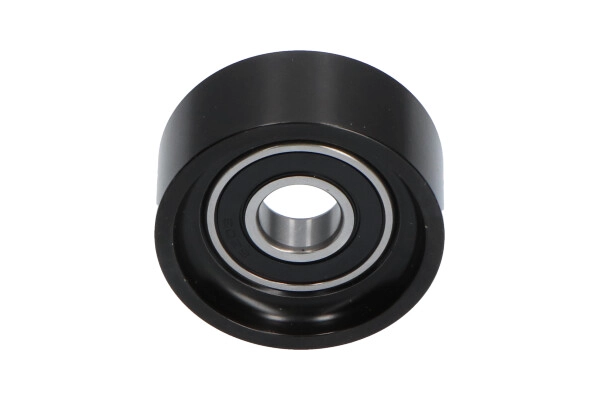 DIP-6501