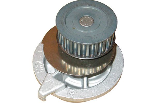 DW-1