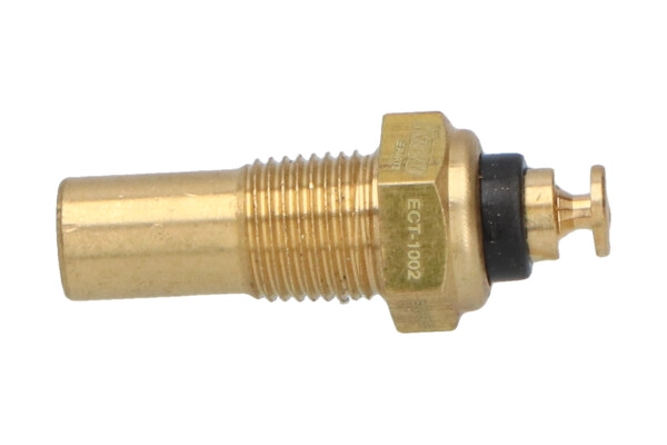 ECT-1002