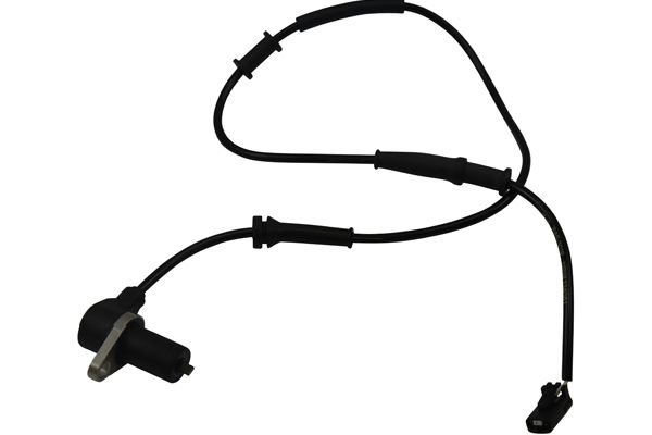 BAS-3019