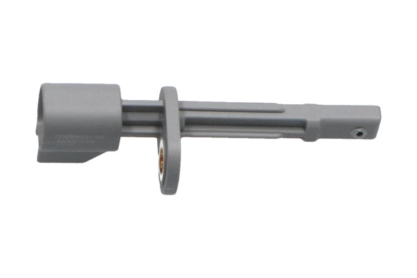 BAS-10029