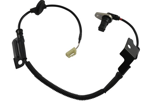 BAS-3013