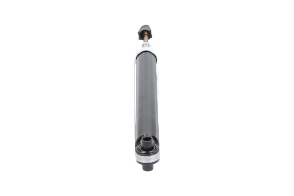 SSA-10106