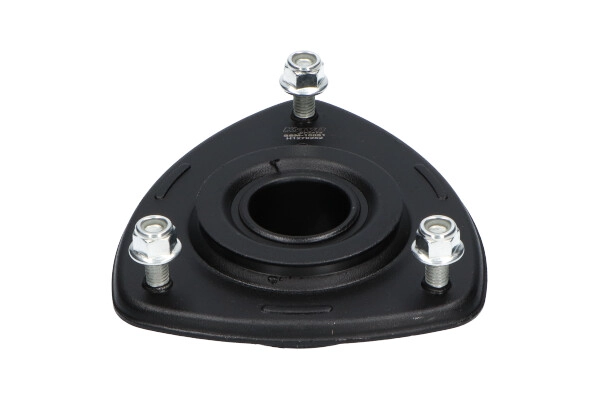 SSM-10081