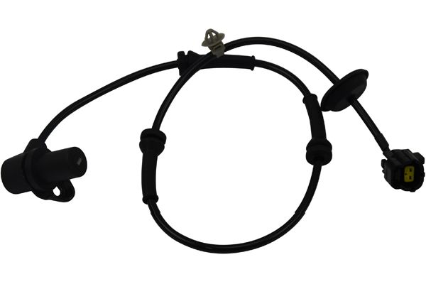 BAS-1004
