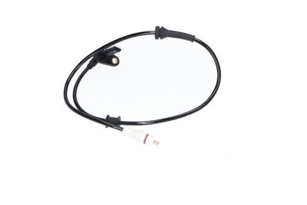 BAS-10024