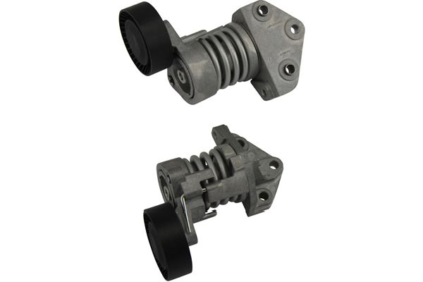 DTP-5502