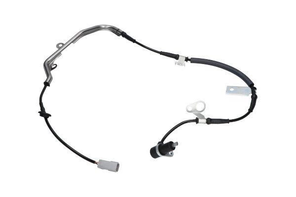 BAS-4562