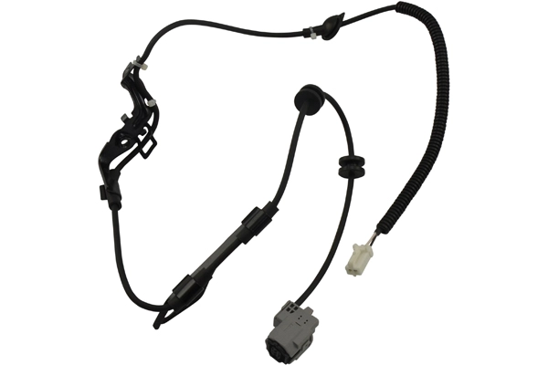BAS-9163