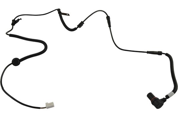 BAS-4019