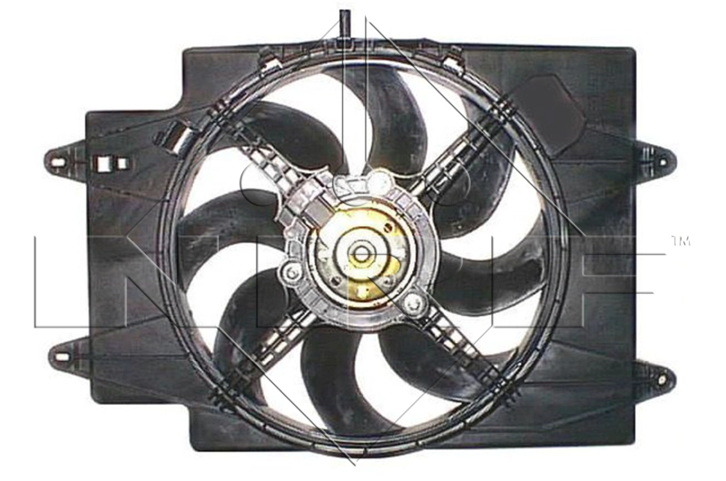 47801