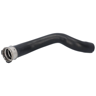 55579