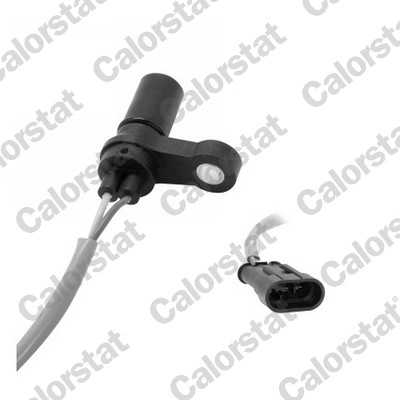 CS0019