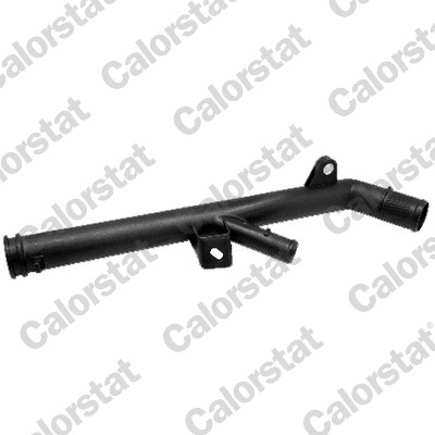 CP0005