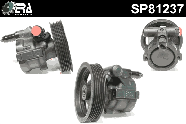 SP81237