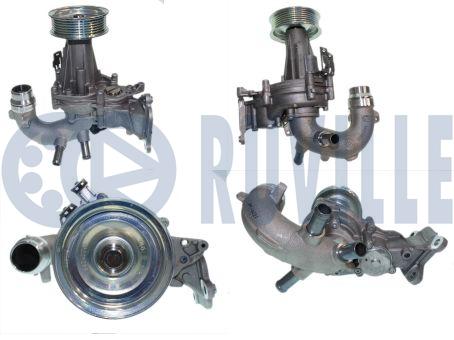 561806V
