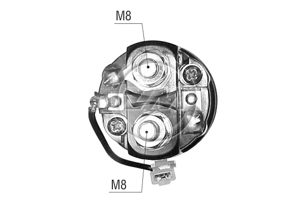 ZM66296