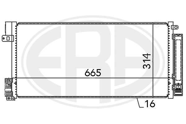 667004