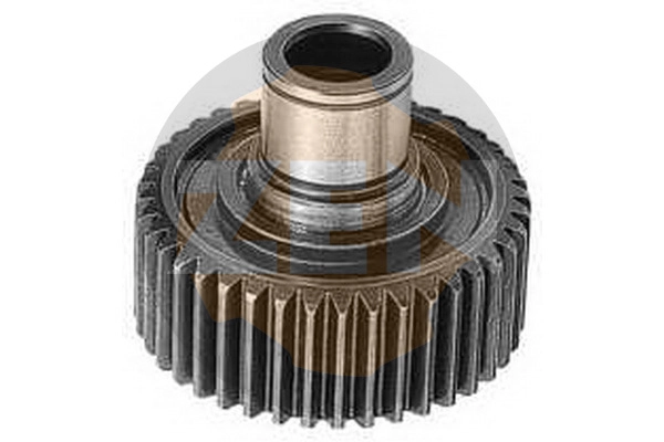 ZN1213