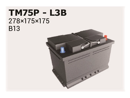 TM75P