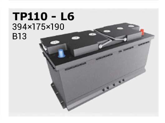 TP110
