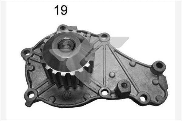 WP64