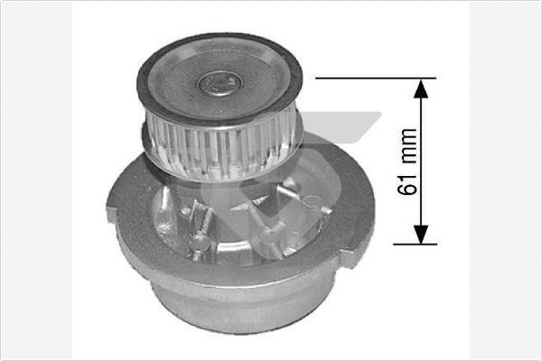 WP0019V