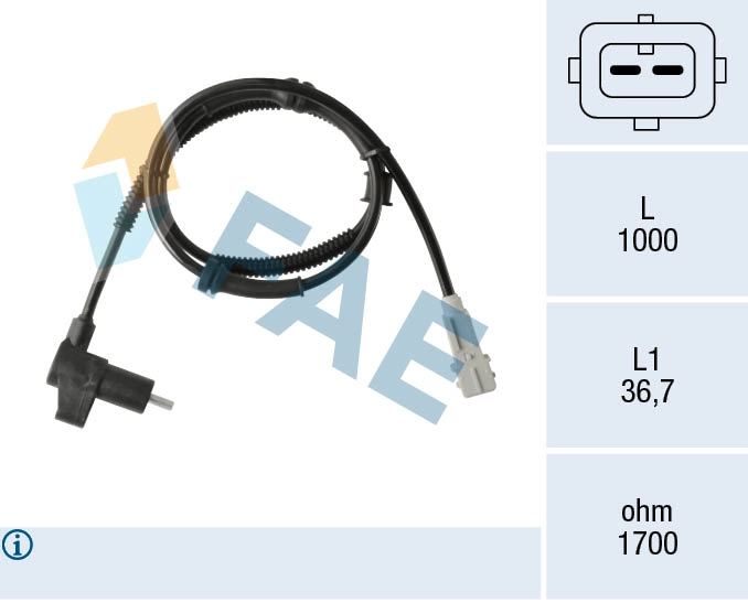 78374
