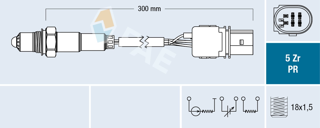 75031