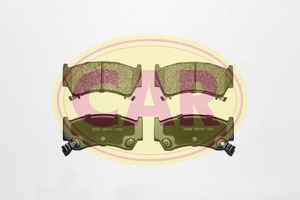 PNT1011