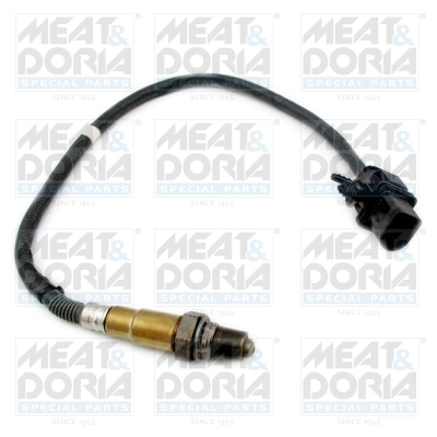 81956