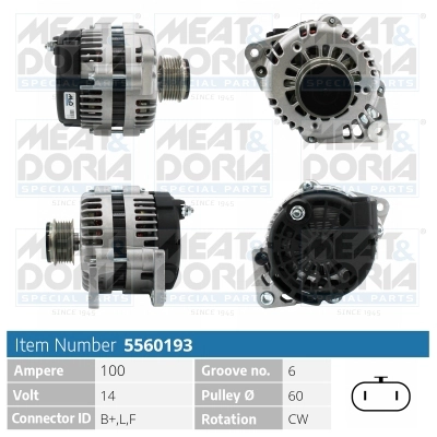 06204274