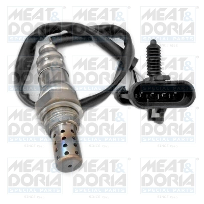 81551