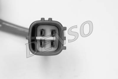 DLS-183