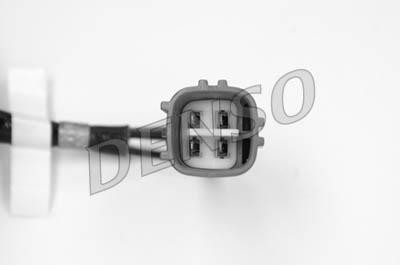 DLS-117