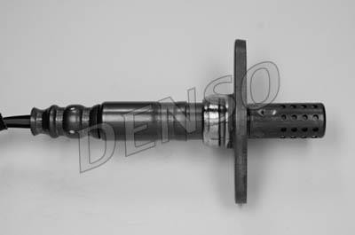 DLS-113