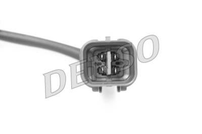DLS-207