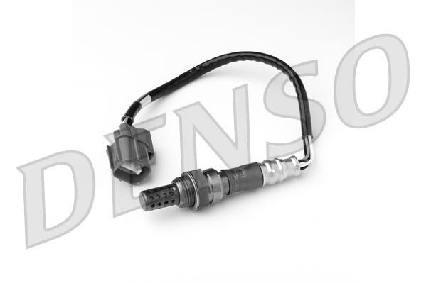 DLS-343